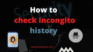 check incognito history and delete it